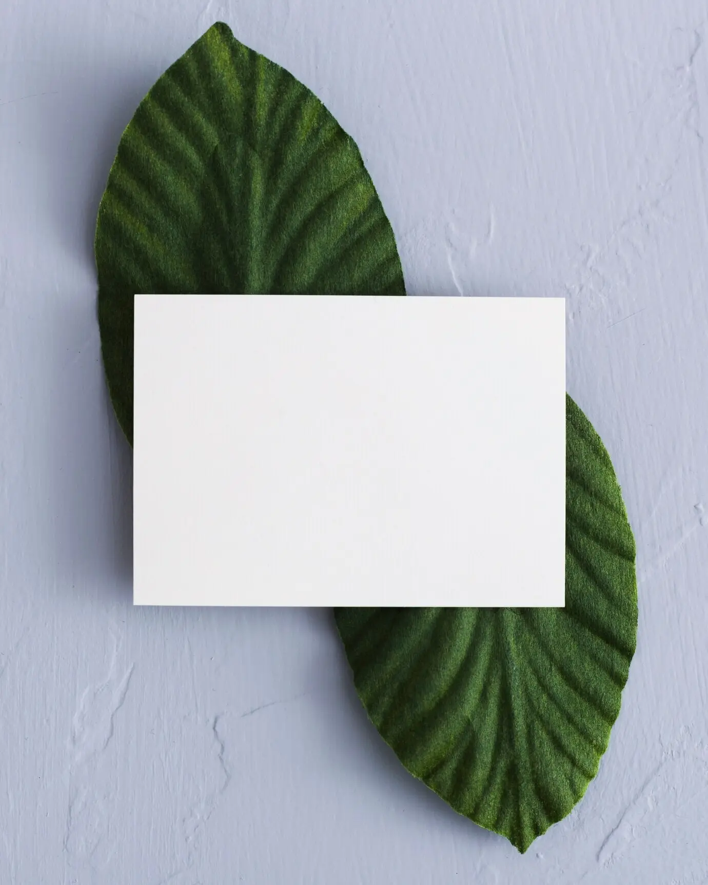 Draufsicht auf ein Konzept für Schreibwaren und Visitenkarten